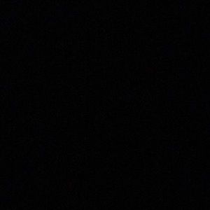 Meet your Posher, Randy